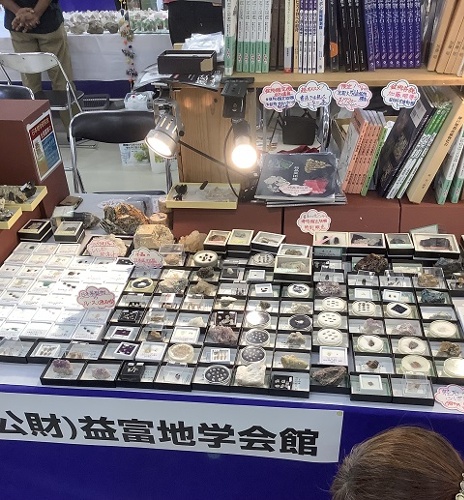 （公益財団法人）益富地学会館 ミネラルザワールド